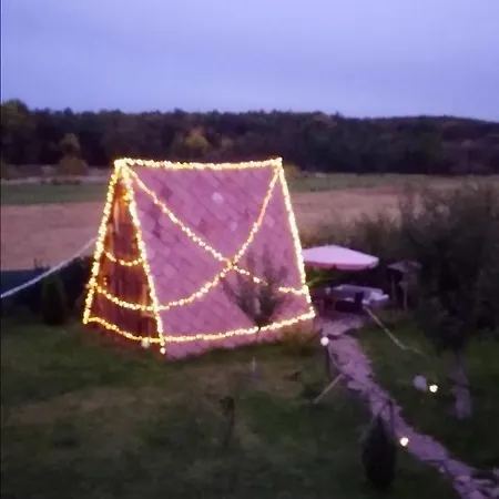 Tiny House In The