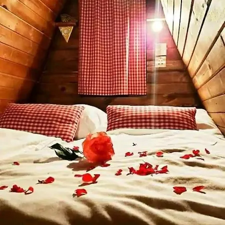 Tiny House In The