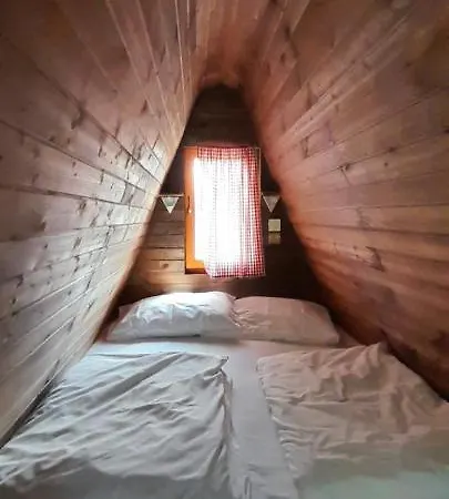 Tiny House In The *