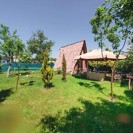 Tiny House In The